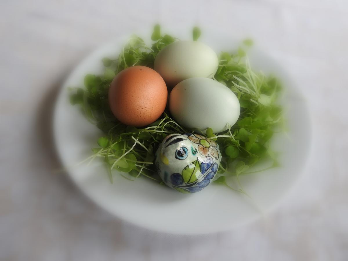 The Empty Nest B & B Carrying Place Esterno foto