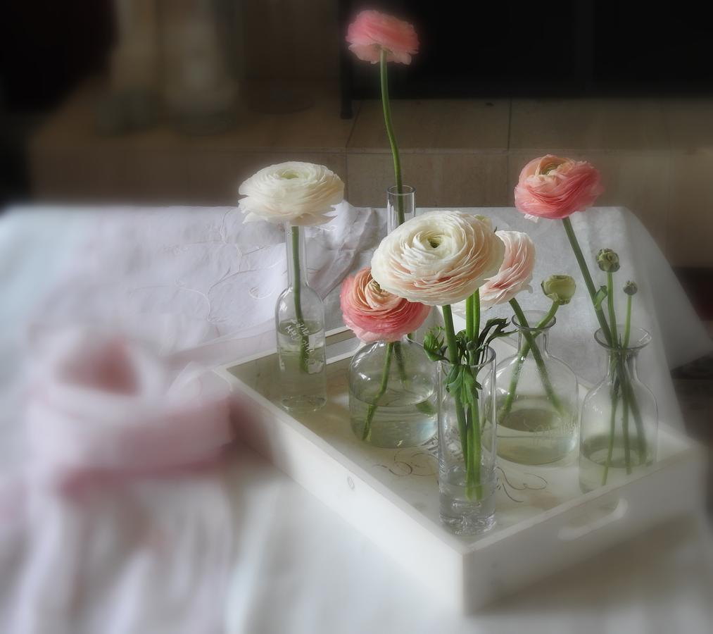 The Empty Nest B & B Carrying Place Esterno foto